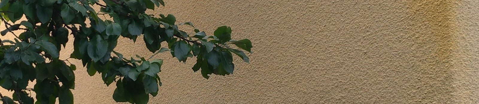 Stänkputsad fasadputs med ädelputs i samband med fasadrenovering.